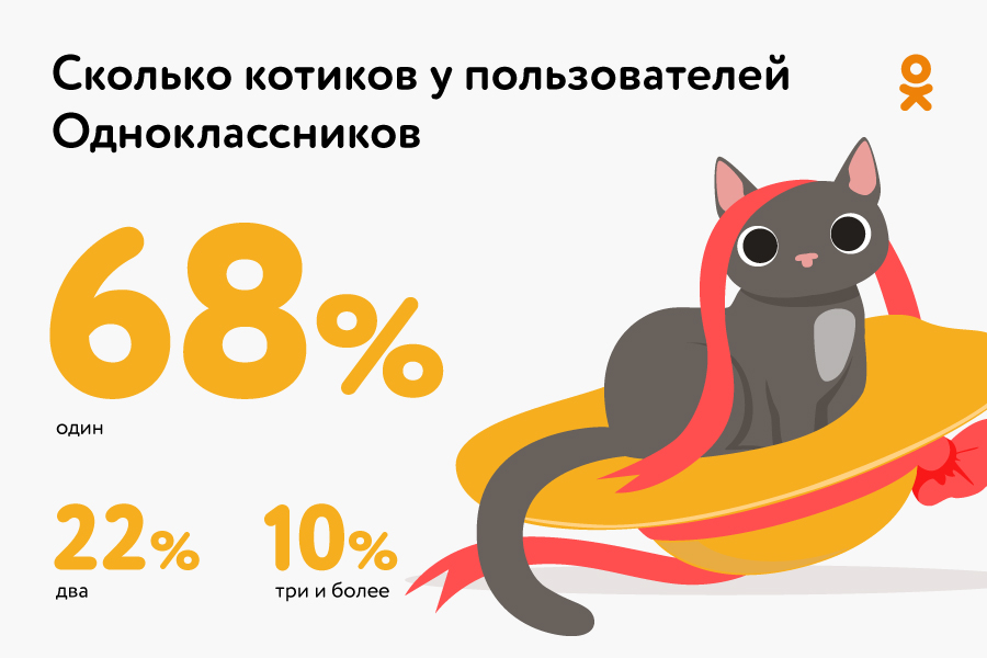 Беспородные Васьки и британские Маруси — какие кошки популярнее всего у россиян