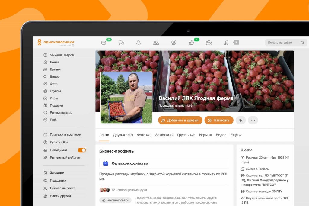 КЕЙС: Как владелец личного подсобного хозяйства из Беларуси продаёт саженцы ягодных кустарников через ОК – и получает 80% заказов в соцсети